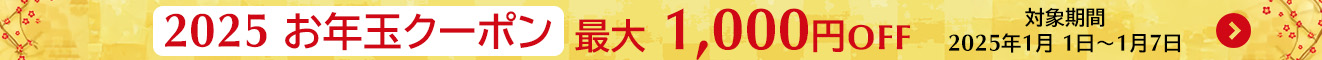 お年玉クーポン・キャンペーン