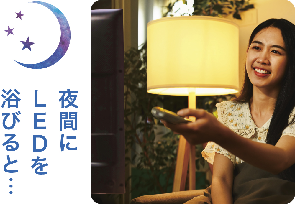 日経MJ掲載商品】睡夢 -すいむ- | MIRU US