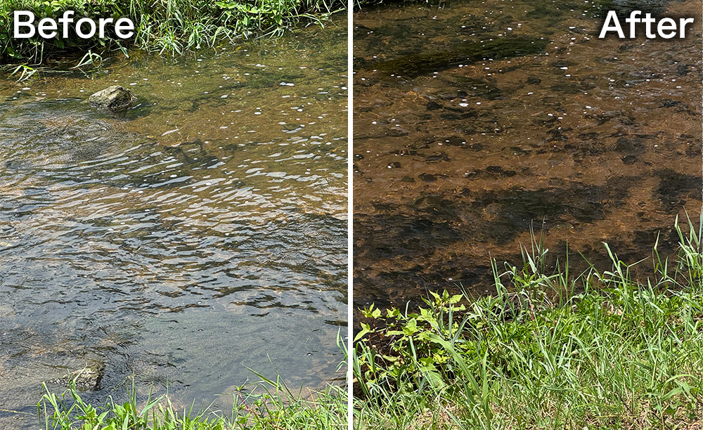 偏光レンズの見え方比較。左は水面が反射して白く濁った視界、右は反射が消えて水中までクリアに見える視界